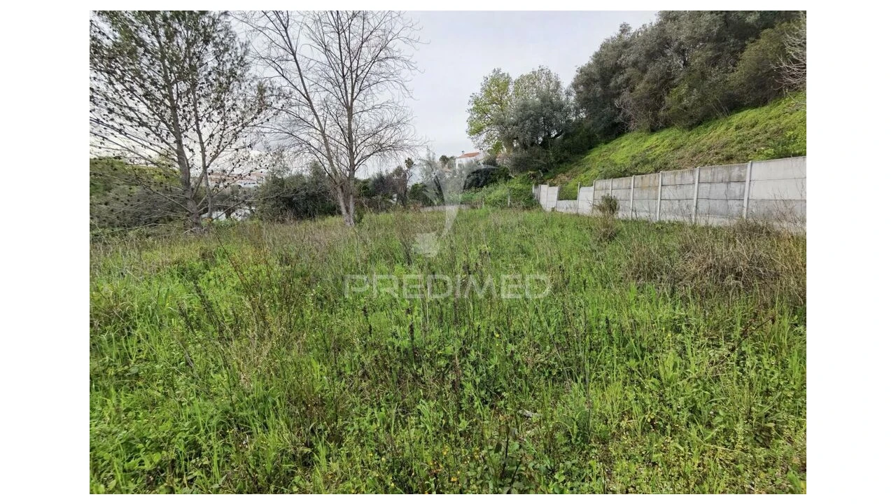 Terreno para Venda em Torres Novas (Santa Maria, Salvador e Santiago) Foto 15