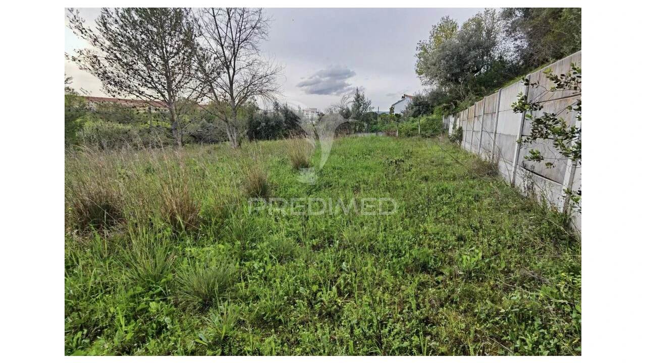 Terreno para Venda em Torres Novas (Santa Maria, Salvador e Santiago) Foto 16