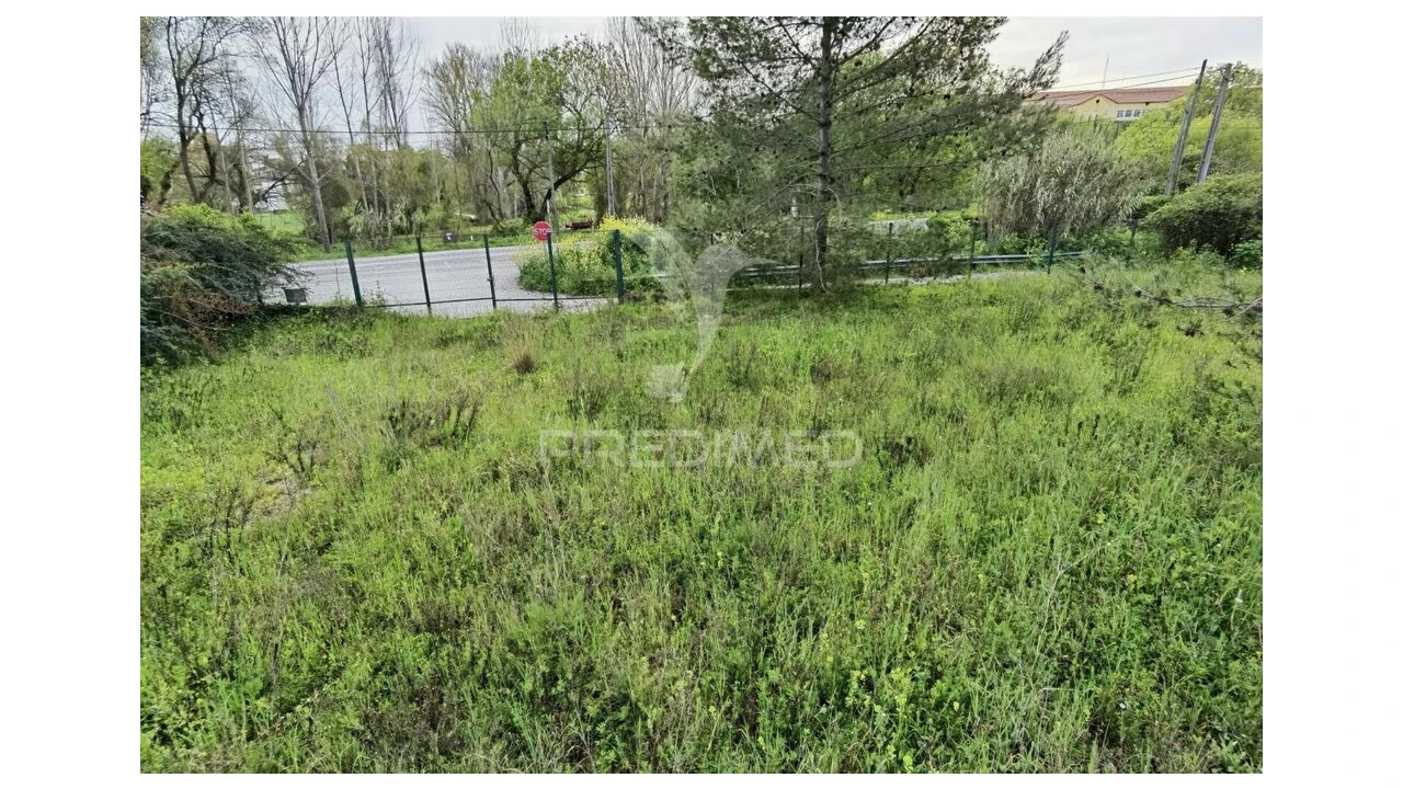 Terreno para Venda em Torres Novas (Santa Maria, Salvador e Santiago) Foto 11