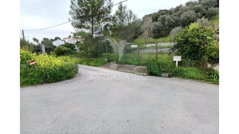 Terreno para Venda em Torres Novas (Santa Maria, Salvador e Santiago)