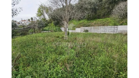 Terreno para Venda em Torres Novas (Santa Maria, Salvador e Santiago)
