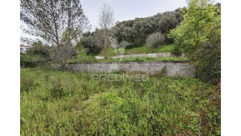 Terreno para Venda em Torres Novas (Santa Maria, Salvador e Santiago)