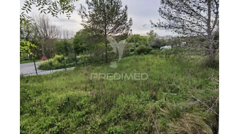 Terreno para Venda em Torres Novas (Santa Maria, Salvador e Santiago)