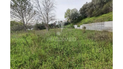 Terreno para Venda em Torres Novas (Santa Maria, Salvador e Santiago)