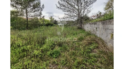 Terreno para Venda em Torres Novas (Santa Maria, Salvador e Santiago)