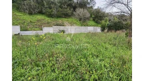 Terreno para Venda em Torres Novas (Santa Maria, Salvador e Santiago)