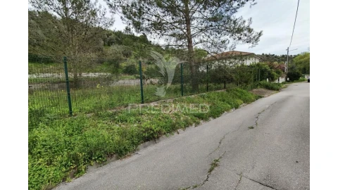 Terreno para Venda em Torres Novas (Santa Maria, Salvador e Santiago)