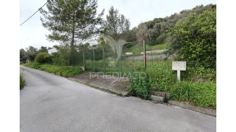 Terreno para Venda em Torres Novas (Santa Maria, Salvador e Santiago)