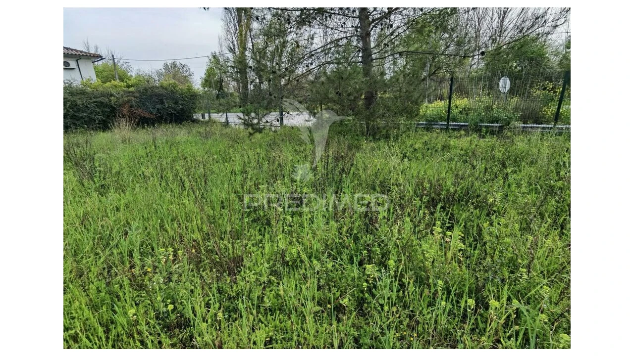 Terreno para Venda em Torres Novas (Santa Maria, Salvador e Santiago) Foto 8