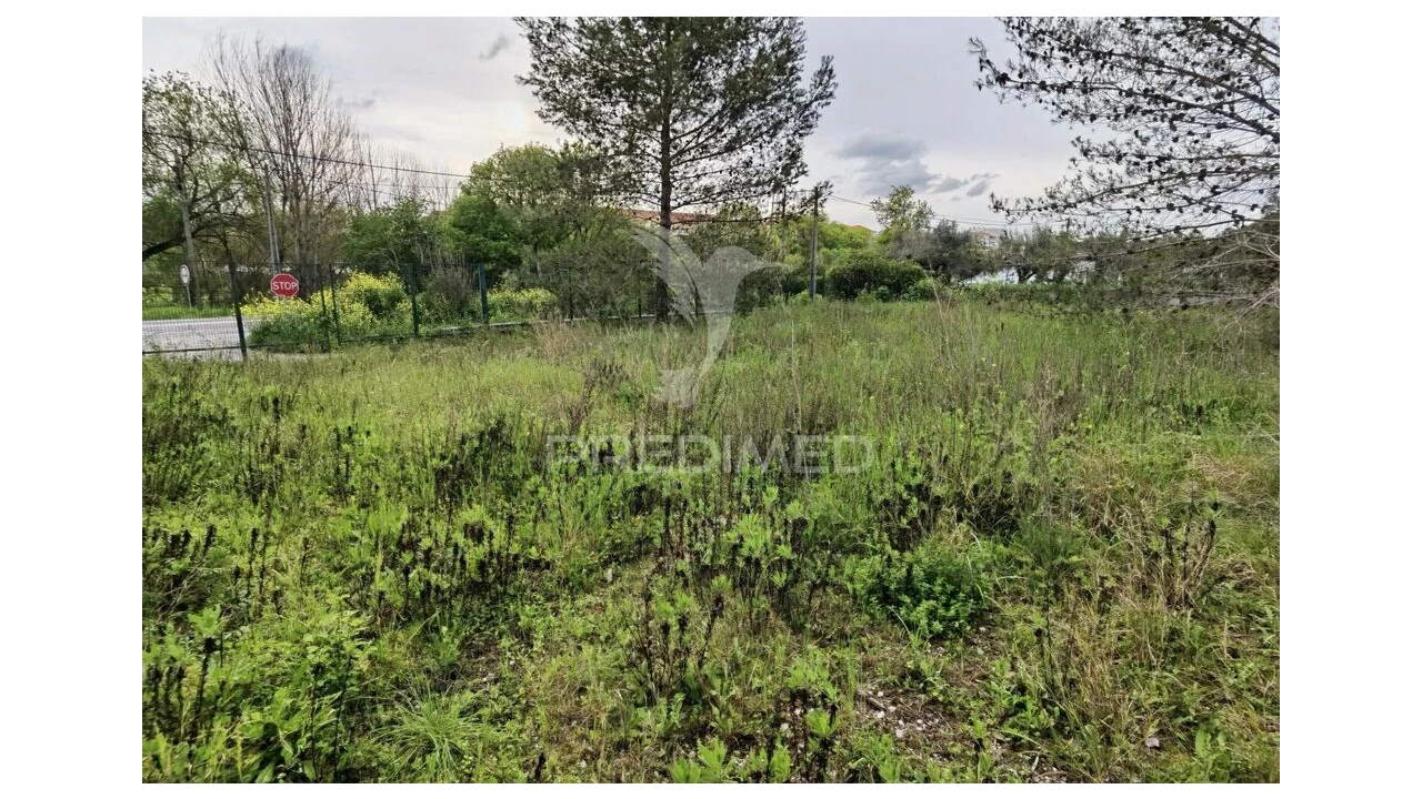 Terreno para Venda em Torres Novas (Santa Maria, Salvador e Santiago) Foto 6