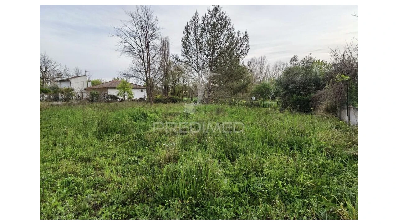 Terreno para Venda em Torres Novas (Santa Maria, Salvador e Santiago) Foto 17