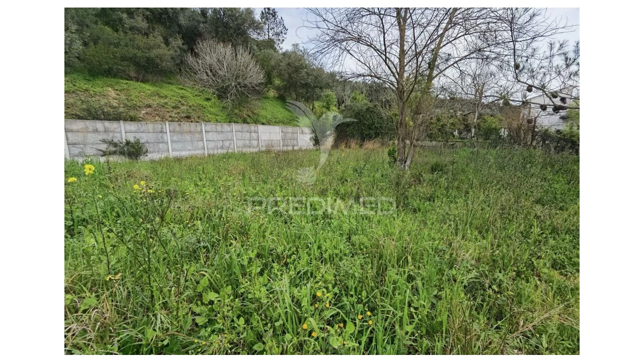 Terreno para Venda em Torres Novas (Santa Maria, Salvador e Santiago) Foto 9