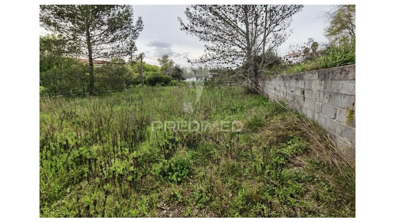 Terreno para Venda em Torres Novas (Santa Maria, Salvador e Santiago) Foto 7