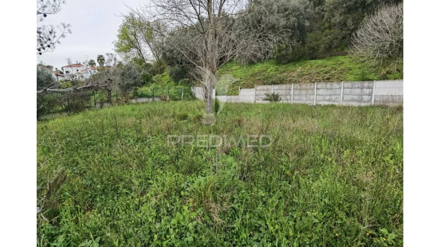 Terreno para Venda em Torres Novas (Santa Maria, Salvador e Santiago) Foto 12