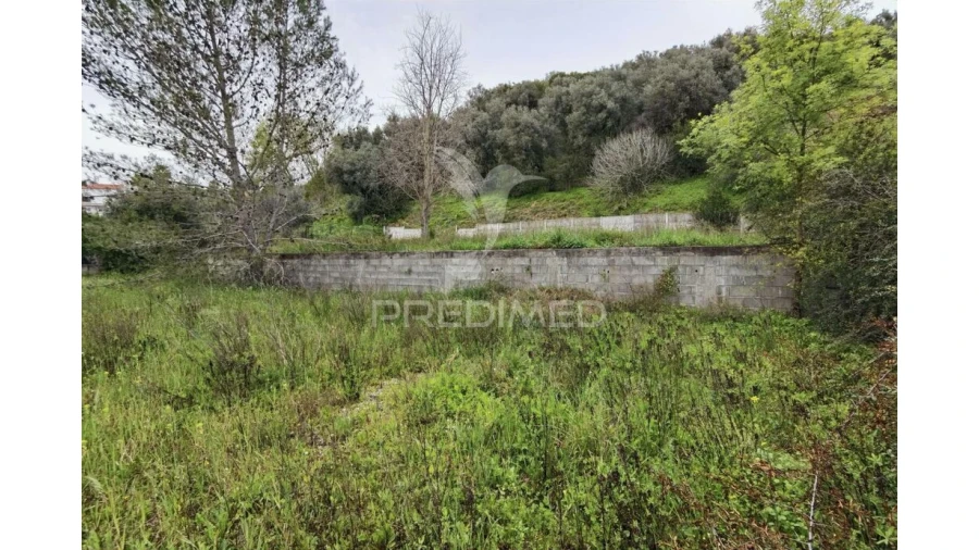 Terreno para Venda em Torres Novas (Santa Maria, Salvador e Santiago) Foto 5
