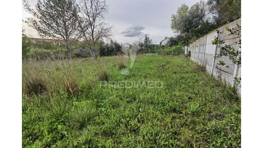 Terreno para Venda em Torres Novas (Santa Maria, Salvador e Santiago) Foto 16