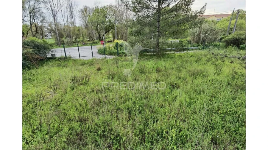 Terreno para Venda em Torres Novas (Santa Maria, Salvador e Santiago) Foto 11