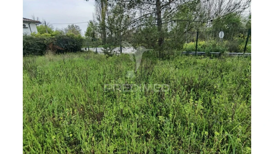 Terreno para Venda em Torres Novas (Santa Maria, Salvador e Santiago) Foto 8