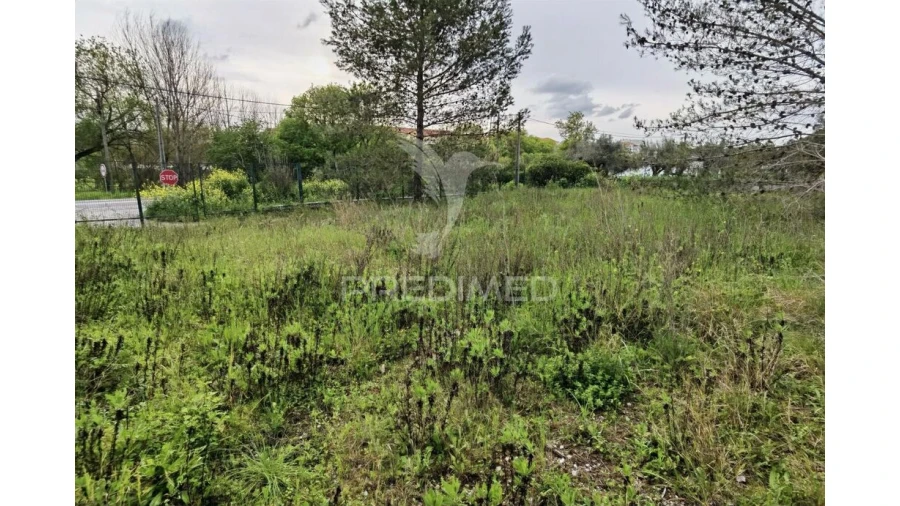 Terreno para Venda em Torres Novas (Santa Maria, Salvador e Santiago) Foto 6