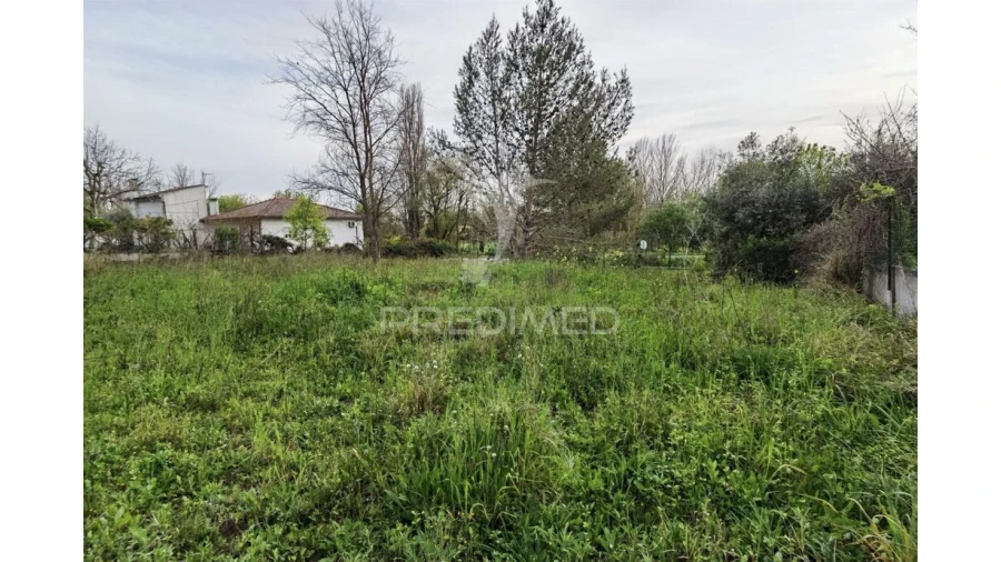 Terreno para Venda em Torres Novas (Santa Maria, Salvador e Santiago) Foto 17