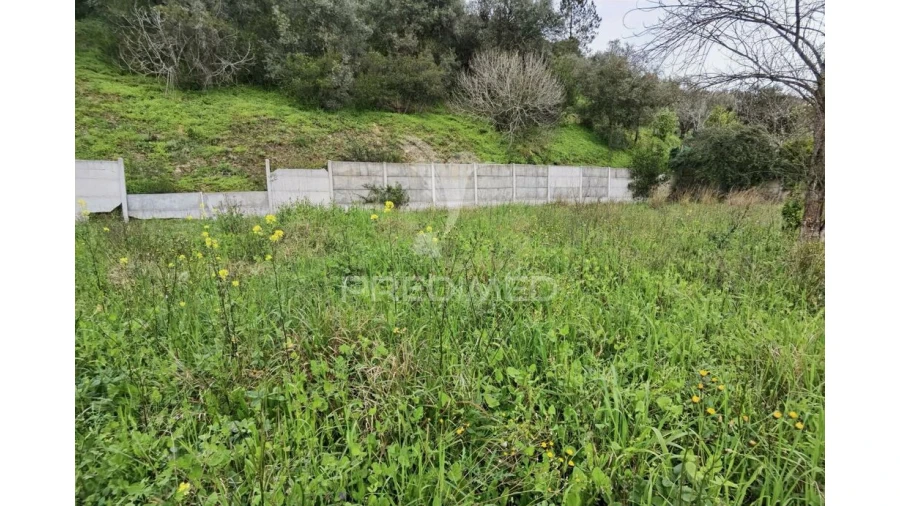 Terreno para Venda em Torres Novas (Santa Maria, Salvador e Santiago) Foto 10