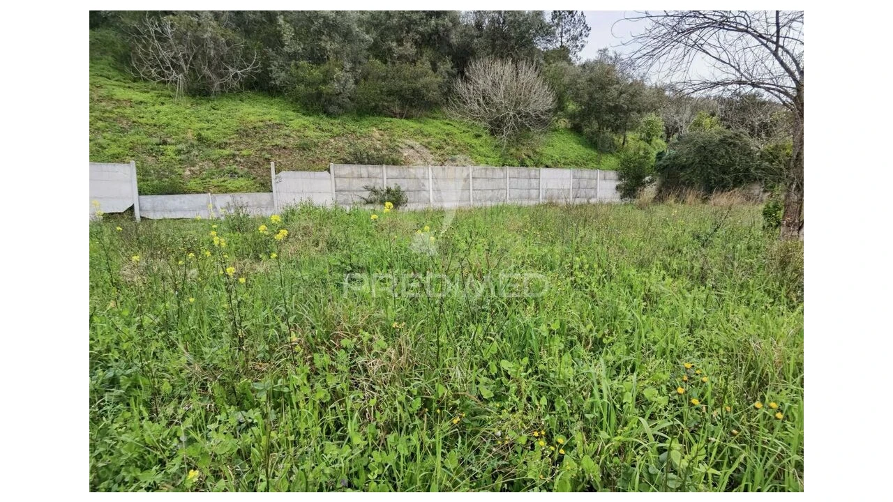 Terreno para Venda em Torres Novas (Santa Maria, Salvador e Santiago) Foto 10