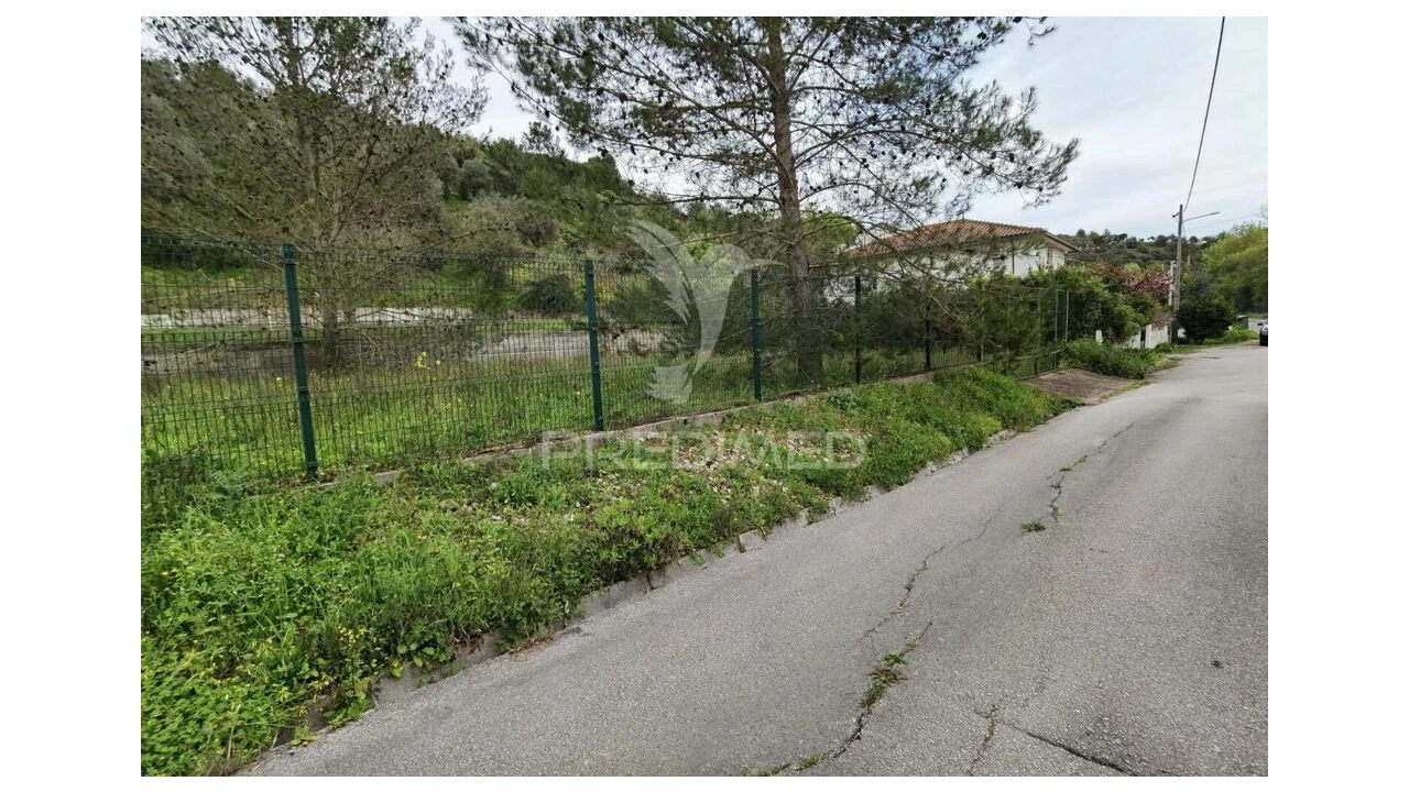 Terreno para Venda em Torres Novas (Santa Maria, Salvador e Santiago) Foto 4