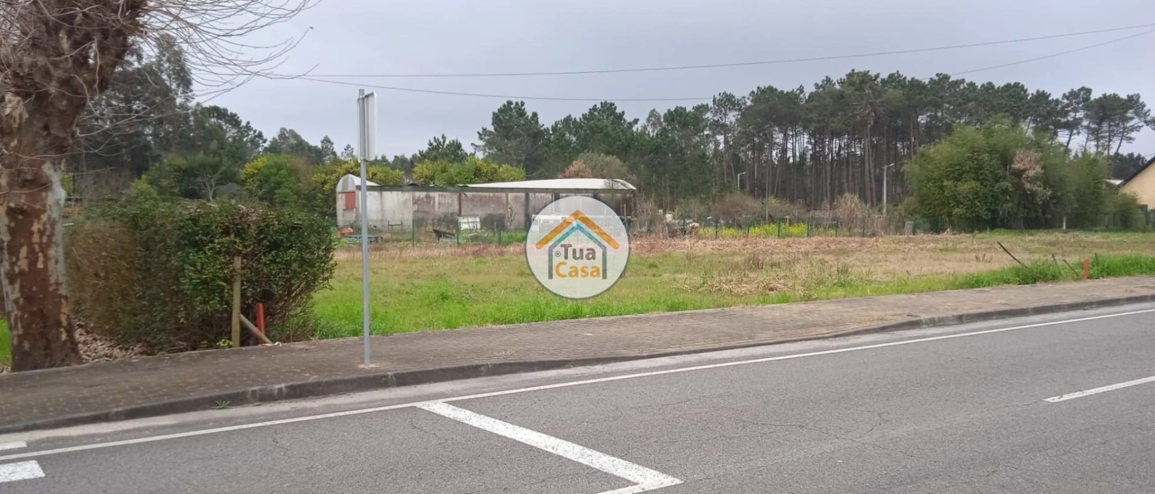 Terreno para Venda em Fonte de Angeão e Covão do Lobo Foto 11