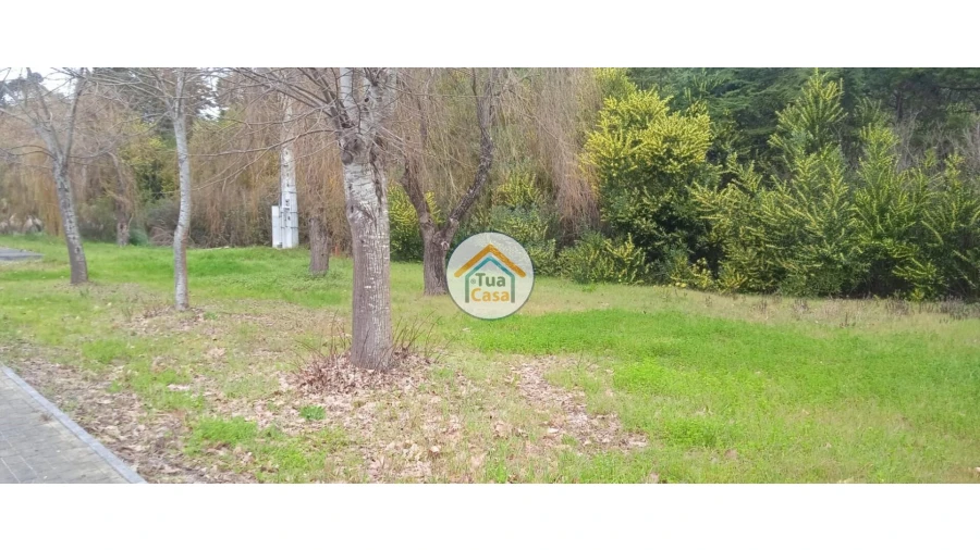 Terreno para Venda em Fonte de Angeão e Covão do Lobo Foto 12