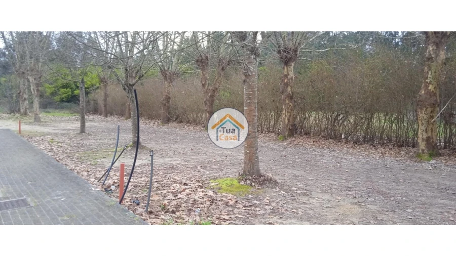 Terreno para Venda em Fonte de Angeão e Covão do Lobo Foto 19