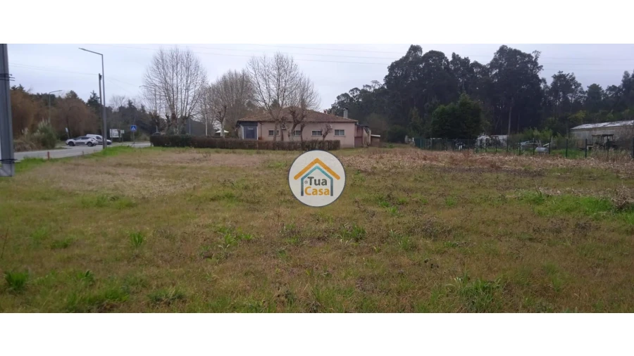 Terreno para Venda em Fonte de Angeão e Covão do Lobo Foto 6