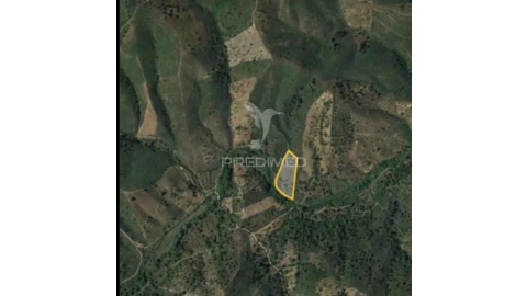 Terreno para Venda em São Brás de Alportel