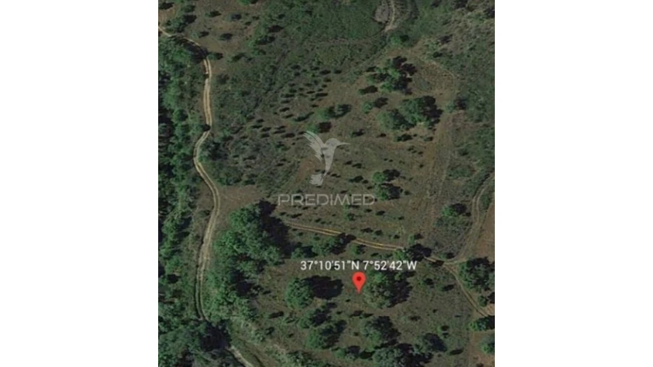 Terreno para Venda em São Brás de Alportel Foto 2