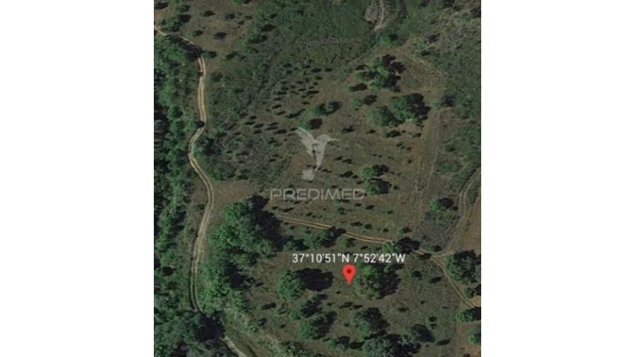Terreno para Venda em São Brás de Alportel Foto 2
