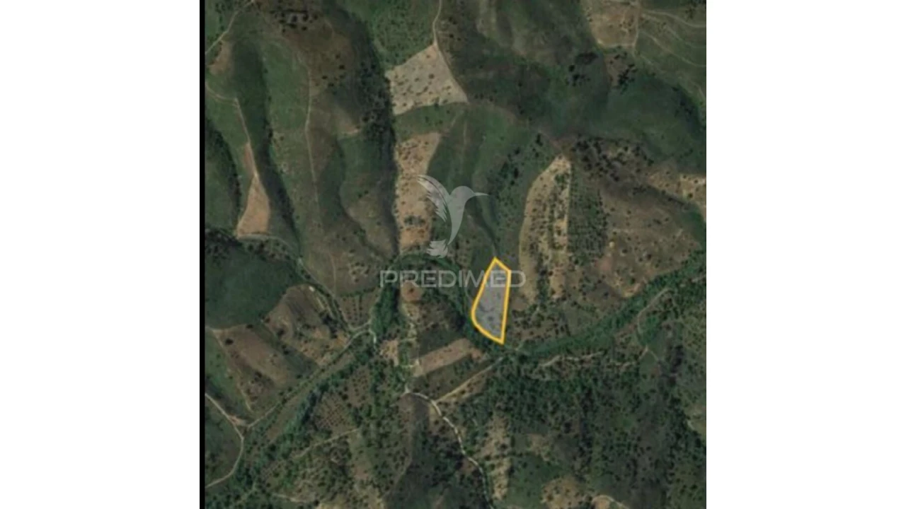 Terreno para Venda em São Brás de Alportel Foto 7