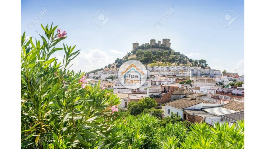 Terreno para Venda em São Barnabe Foto 6