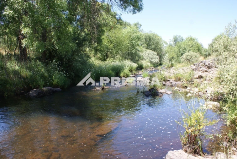 Terreno para Venda em Penamacor Foto 8