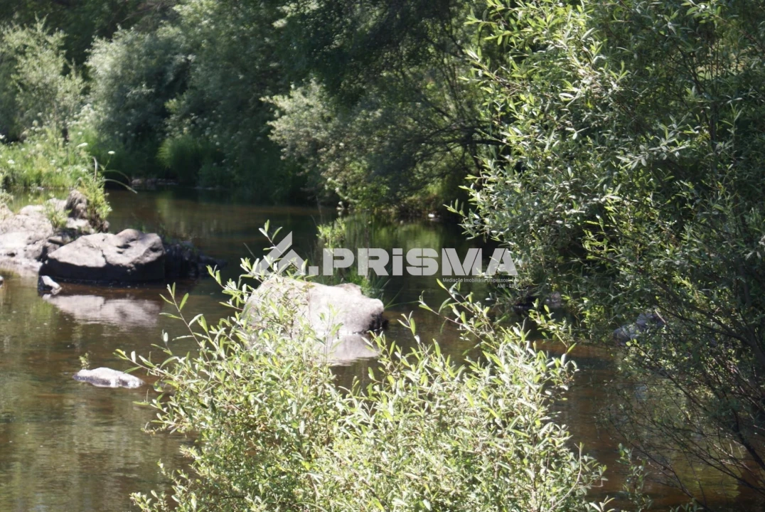 Terreno para Venda em Penamacor Foto 10