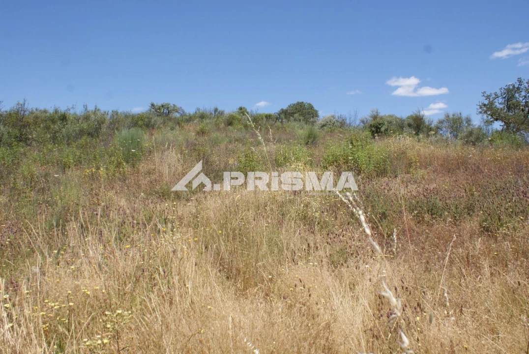 Terreno para Venda em Penamacor Foto 7