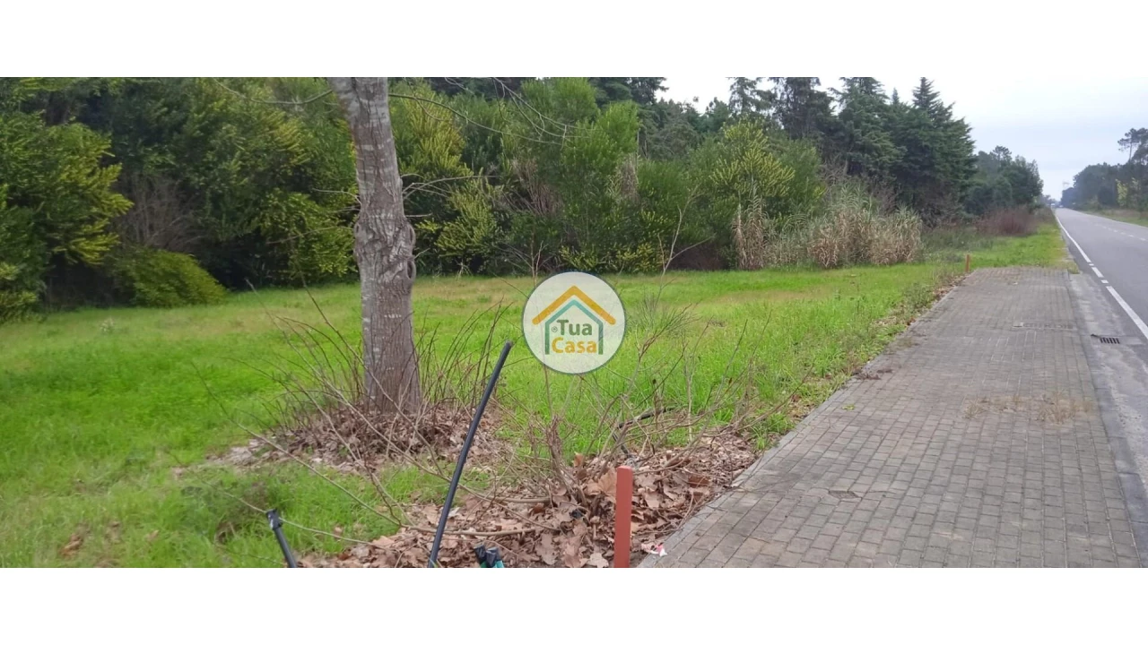 Terreno para Venda em Fonte de Angeão e Covão do Lobo Foto 20