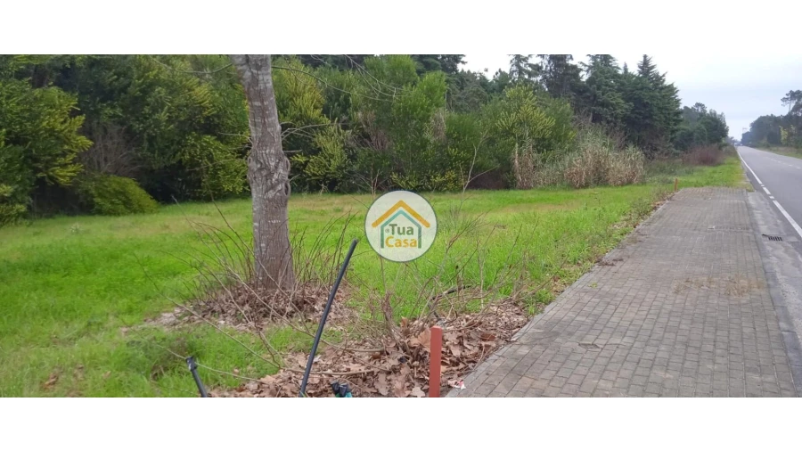 Terreno para Venda em Fonte de Angeão e Covão do Lobo Foto 20