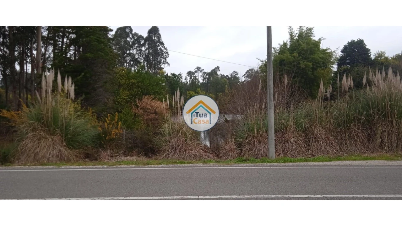 Terreno para Venda em Fonte de Angeão e Covão do Lobo Foto 2