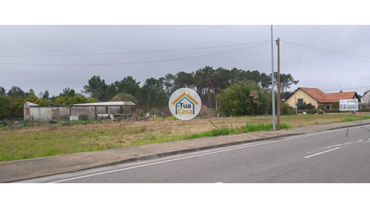 Terreno para Venda em Fonte de Angeão e Covão do Lobo Foto 10