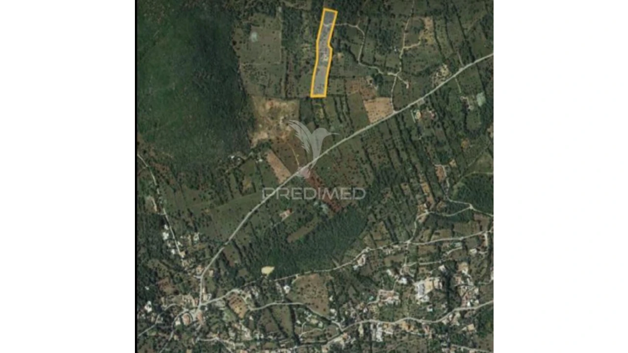 Terreno para Venda em São Brás de Alportel Foto 5