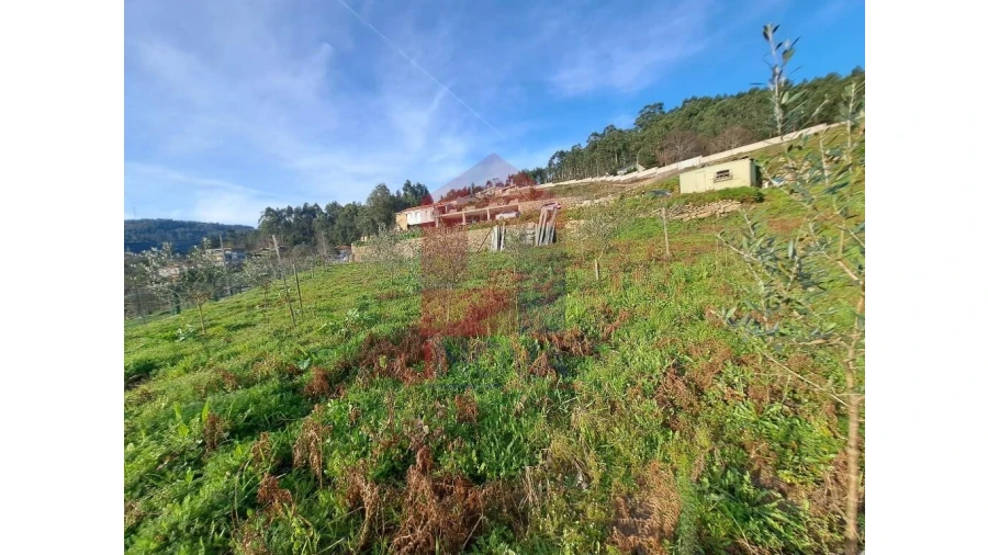 Moradia T4 para Venda em Dossãos Foto 20