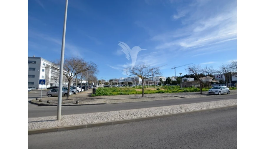 Terreno para Venda em Loule (São Clemente) Foto 5