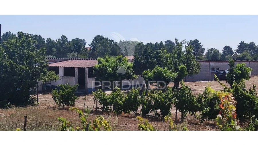 Quinta T3 para Venda em Vale da Pedra Foto 6