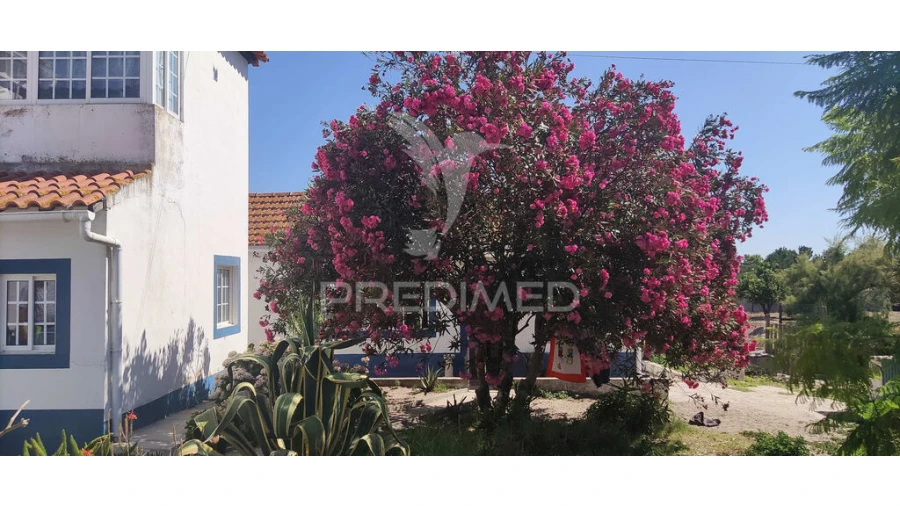 Quinta T3 para Venda em Vale da Pedra Foto 4