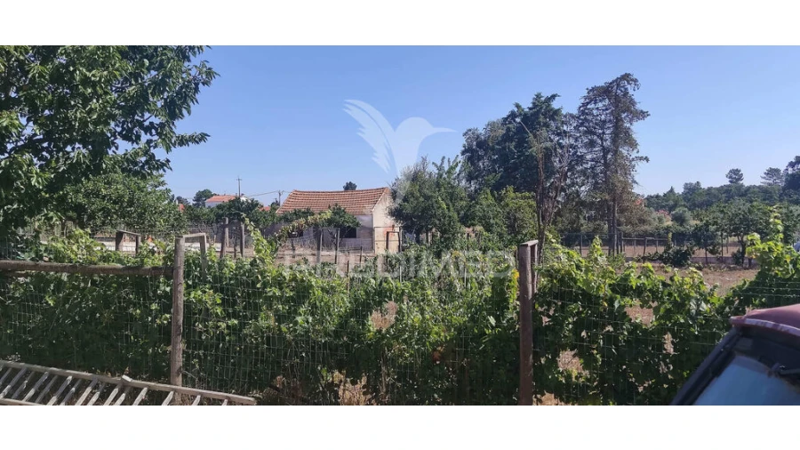 Quinta T3 para Venda em Vale da Pedra Foto 16