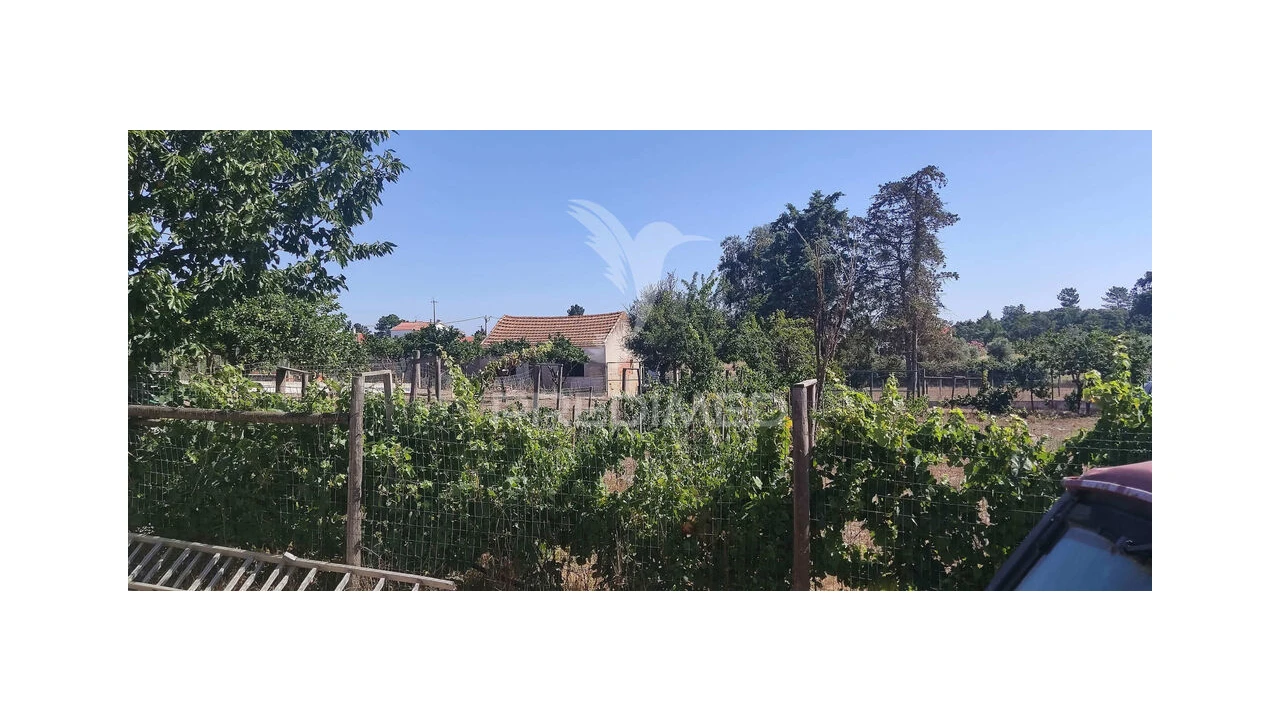 Quinta T3 para Venda em Vale da Pedra Foto 16